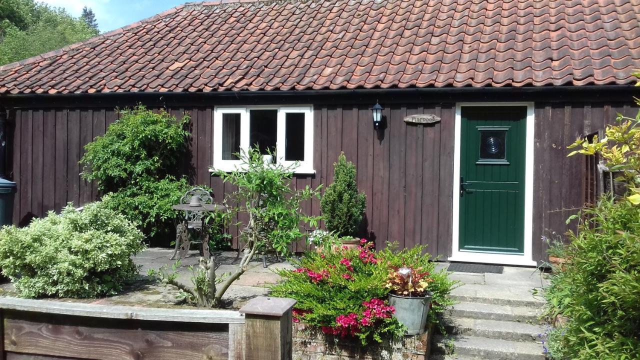 Pinewood Cottage Thorpe Market 외부 사진